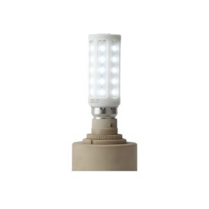 Light LED B22 Clear 85 - 256V